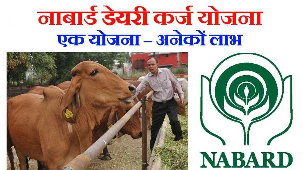 NABARD BANK LOAN SCHEME FOR DAIRY FARMING Archives ReaderMaster